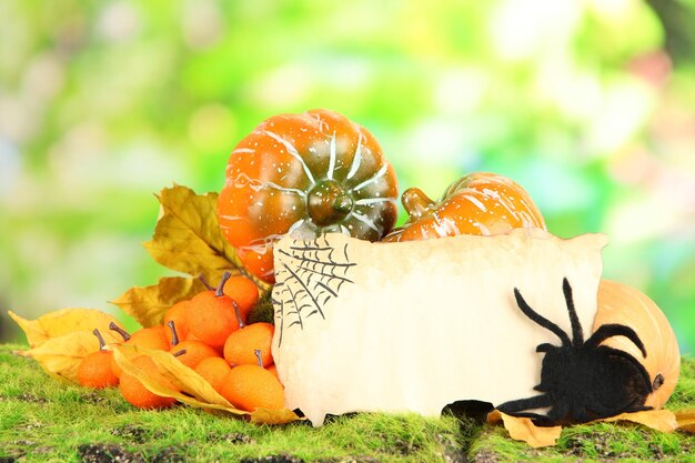 Halloween composition on nature background