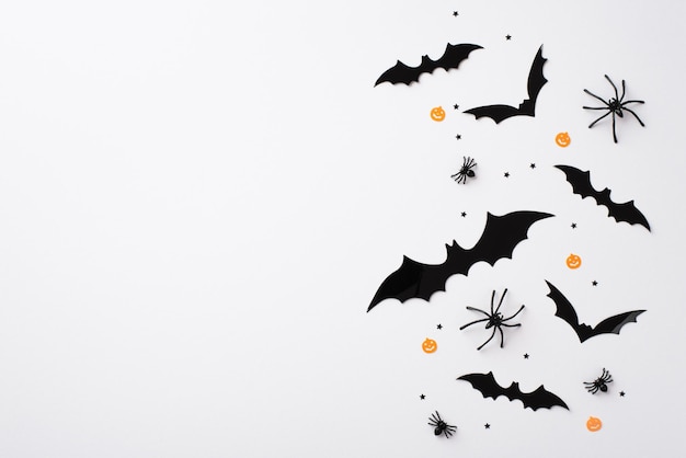 Halloween concept Bovenaanzicht foto van vleermuis silhouetten spinnen en confetti op geïsoleerde witte achtergrond met lege ruimte