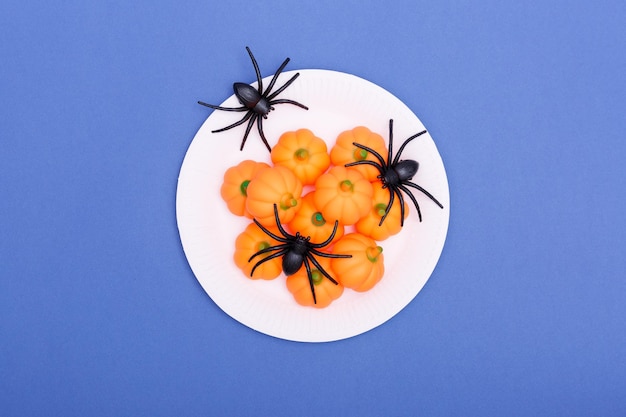 사진 할로윈 개념 파란색 배경에 접시에 거미와 미니 호박의 구성 전통 휴일 미니멀리즘 탑 뷰 복사 공간