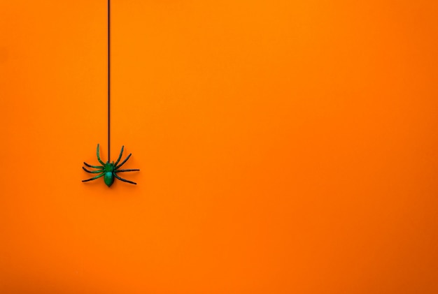 Concetto di halloween. il ragno scende sulla ragnatela.