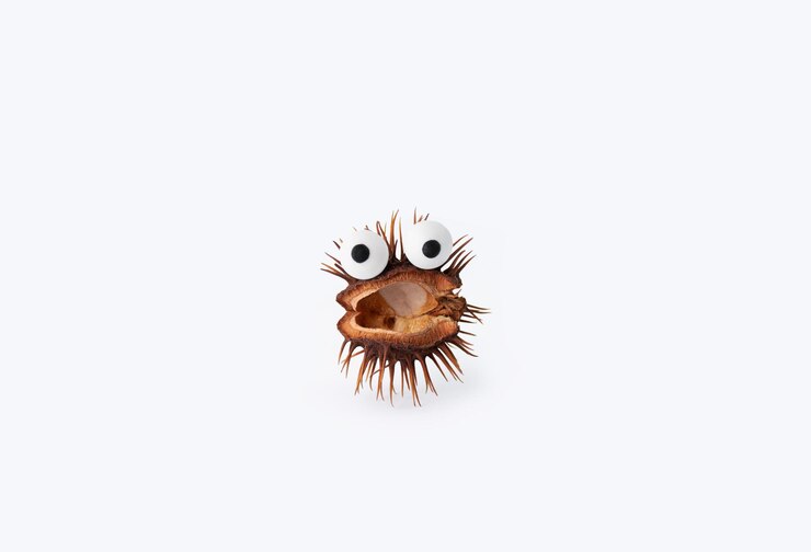 Photo halloween concept spooky dry chestnut with eyes on a white background halloween creative