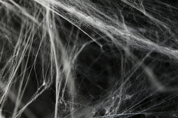 黒の背景を持つハロウィーンの不気味なクモの巣スパイダーウェブ