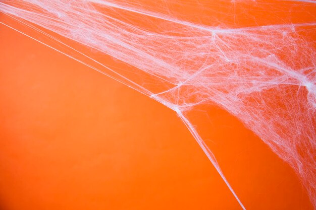 オレンジ色の背景を持つハロウィーンの不気味なクモの巣スパイダーウェブ