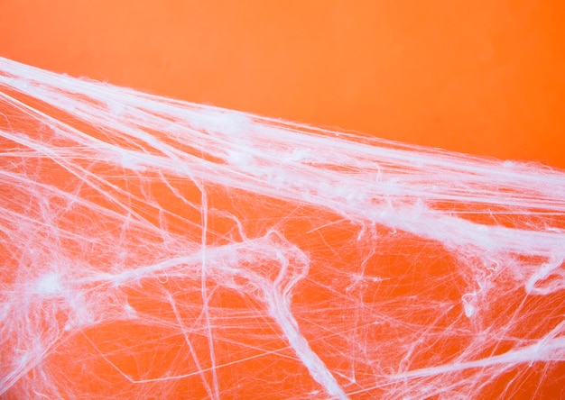 Halloween creepy cobweb spiders web with an orange background