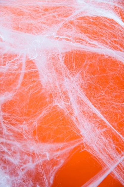 Halloween creepy cobweb spiders web with an orange background