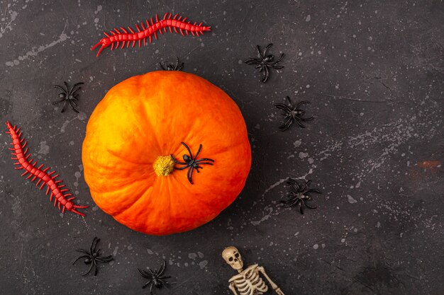 Halloween-decoratie: pompoen, skelet, spinnen, wormen op een donkere achtergrond