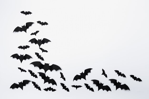 Photo halloween and decoration concept - paper bats flying background