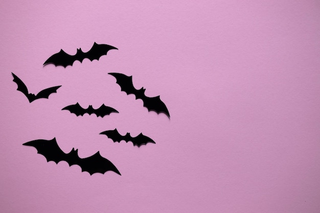 Halloween and decoration concept paper bats flying