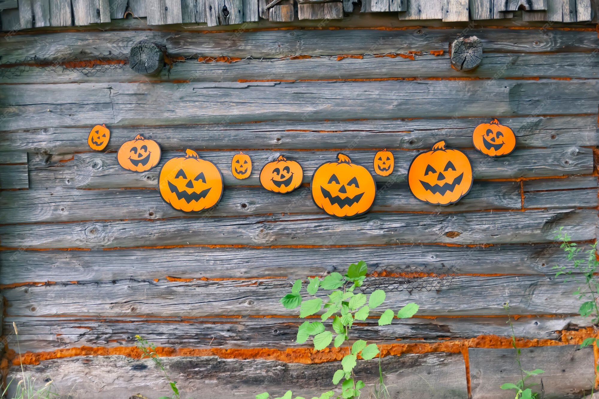 Premium Photo | Halloween decoration outdoors. paper garland with ...