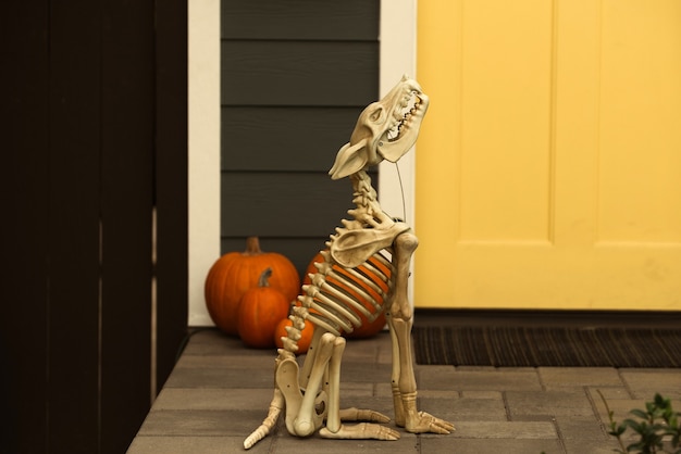 Украшение Хэллоуина со скелетами и тыквами. Скелет страшной собаки на Хэллоуин.