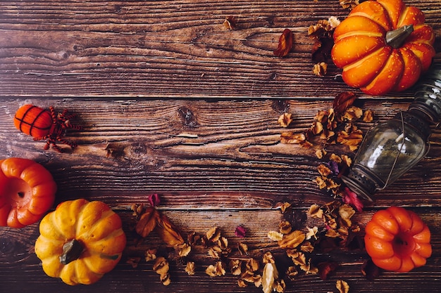 Halloween decoration on wooden background