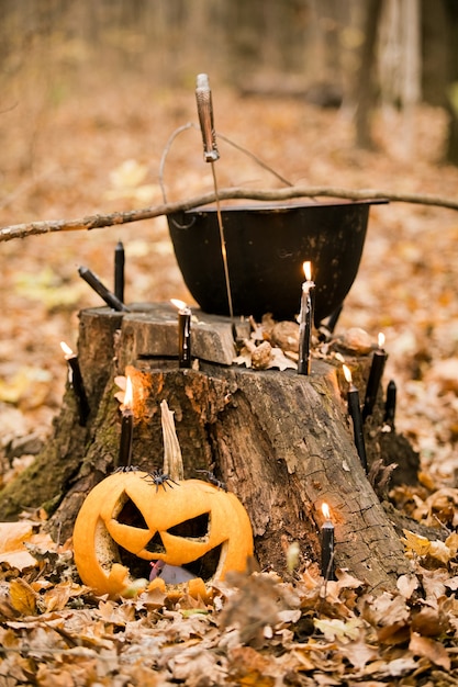 Halloween decorations in the forest: cauldron, pumpkin, candles and dagger. Three vintage witches perform magic ritual