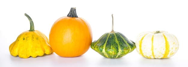 Halloween decorations. Halloween pumpkins isolation on a white background.