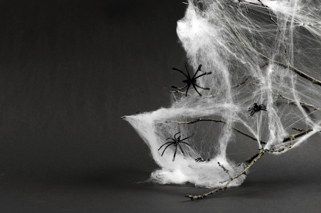 Halloween decorations white spider web and black spiders on a tree branch on a black background Halloween background with place for text