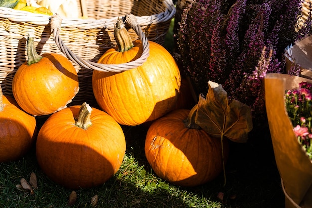 カボチャやその他の装飾品を使ったハロウィーンの装飾