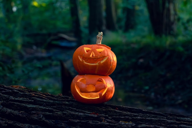Halloween design with pumpkins DIY Halloween pumpkins on a natural background