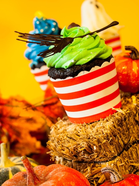 Halloween gourmet cupcakes with holiday decor orange background.