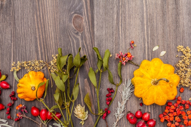 Foto halloween herfst concept. pompoen, maretak, vlierbes, papaver, hop, hondenroos, schisandra