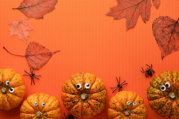 Halloween holiday background Orange pumpkin bat with funny eyes spider spider web old leaves and branches from scary forest on orange background Happy halloween card Autumn decoration Top view