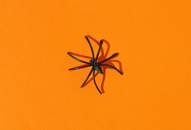 Halloween holiday concept spider over orange background