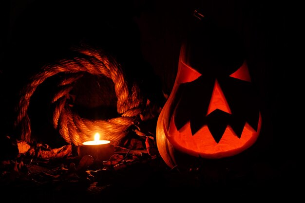 写真 ハロウィーンの休日