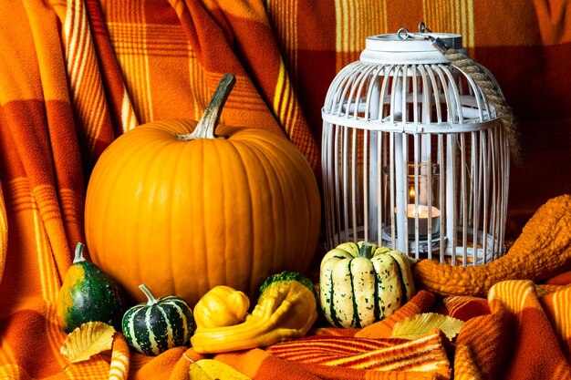 Halloween home mood orange pumpkin and vintage birdcage with a candle inside autumn home decoration