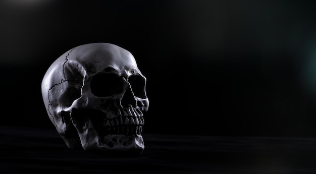 Halloween human skull on an old wooden table over black\
background shape of skull bone for death head on halloween festival\
which show horror evil tooth fear and scary copy space