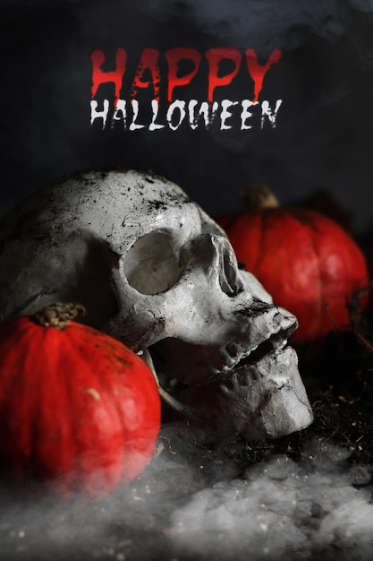 Photo halloween human skull pumpkins and plant roots on a dark background