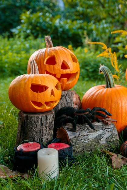 Halloween.  Jack-o-Lantern. scary pumpkin with a smile near candles and spider in green forest, outdoor. 