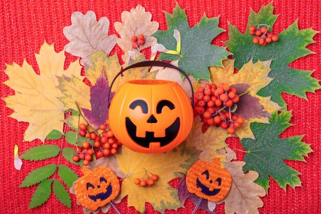 Halloween Jack o Lantern with sweets on a colorful autumn background from dried leaves and orange rowan berries on a knitted red background. Bright autumn card for the Halloween holiday