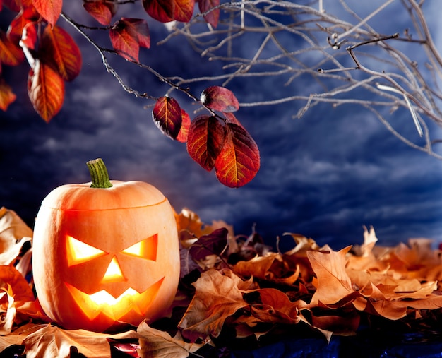 halloween lantern pumpkin  in dark sky clouds