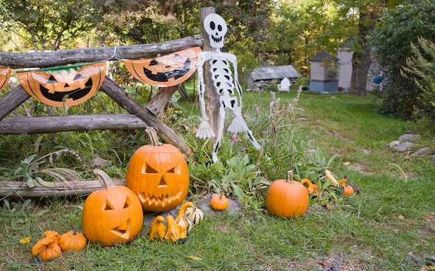 ハロウィーン・ナイト ストック ハロウィン5