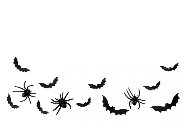 Foto arte di carta di halloween. pipistrelli e ragni di carta neri volanti su bianco.