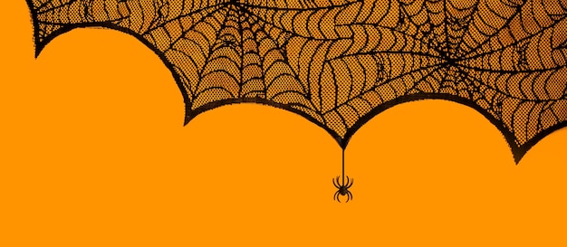 Photo halloween party background spider web on orange with a spider