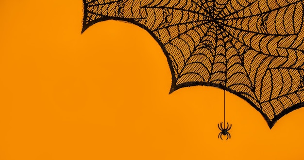 Halloween party background spider web on orange with a spider