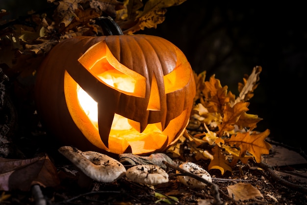 Halloween-pompoen in openlucht