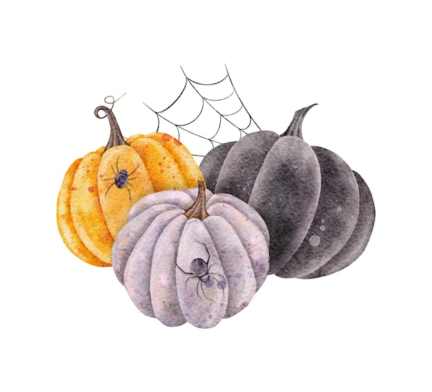 Halloween-pompoen met spin en spinnenwebwaterverfoogst illustrarion halloween-vakantiehand