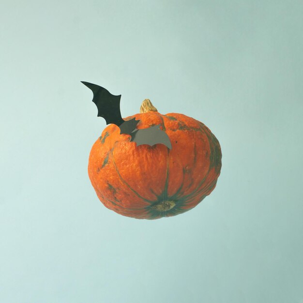 Halloween pompoen met zwarte vleermuis vliegen in de lucht Blauwe achtergrond