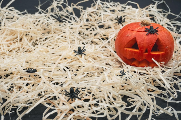 Halloween-pompoen. Pompoen met spinnen.