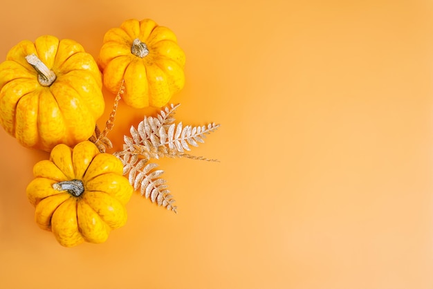 Halloween Pompoenen Grensontwerp Verschillende pompoensoortenOranje achtergrondRuimte voor tekst en kopieerruimte Herfstpostkaart Minimalistische stijlHerfstseizoen Herfst oogst Gelukkige Thanksgiving