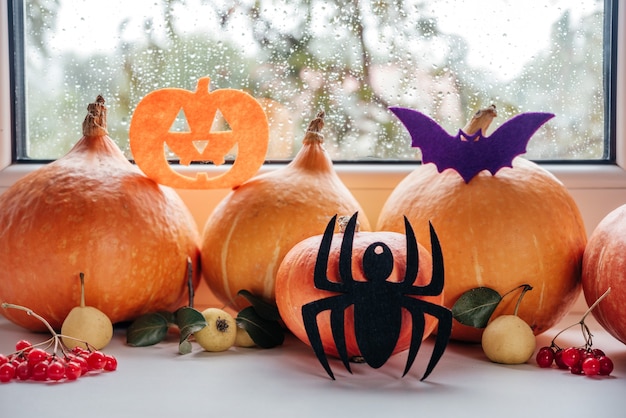 Halloween-pompoenen handgemaakte spinvleermuis en jack o lantern achtergrond