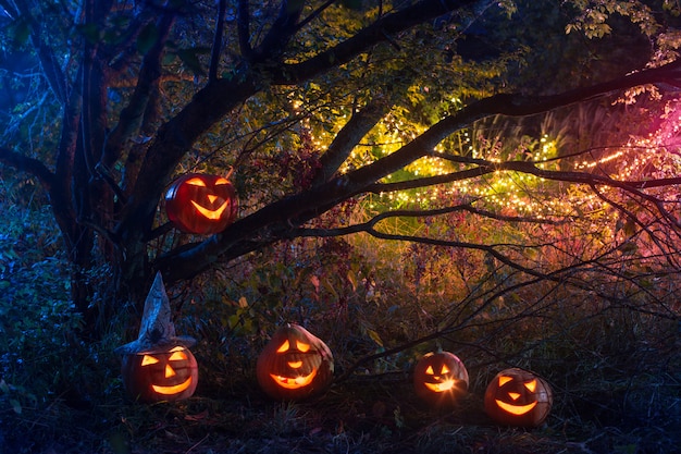 Halloween-pompoenen in nachtbos