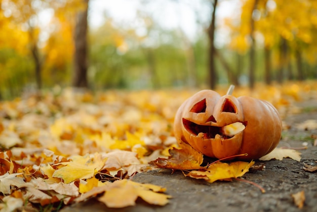 Halloween pompoenen op de herfst straat vakantie decoratie concept