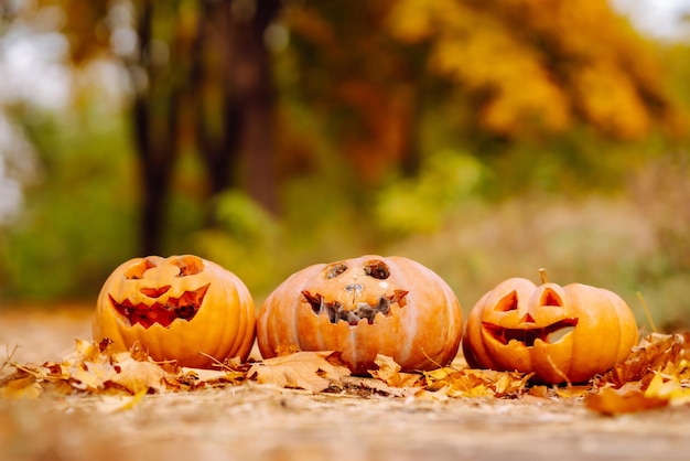 Halloween pompoenen op de herfst straat vakantie decoratie concept