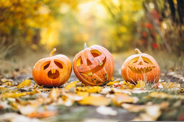Halloween pompoenen volle maan en een oude begraafplaats