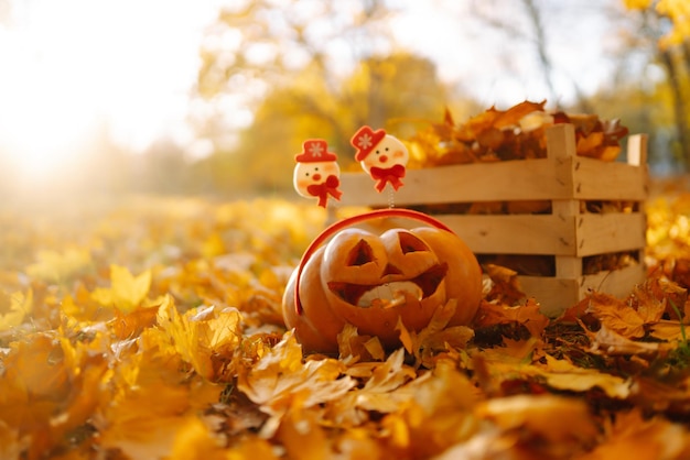 秋の公園のハロウィーンのカボチャ休日の装飾のコンセプト