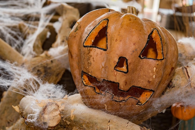 クモの巣に彫られたハロウィーンのカボチャ