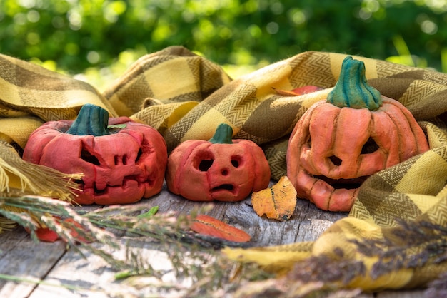 Halloween pumpkin collection