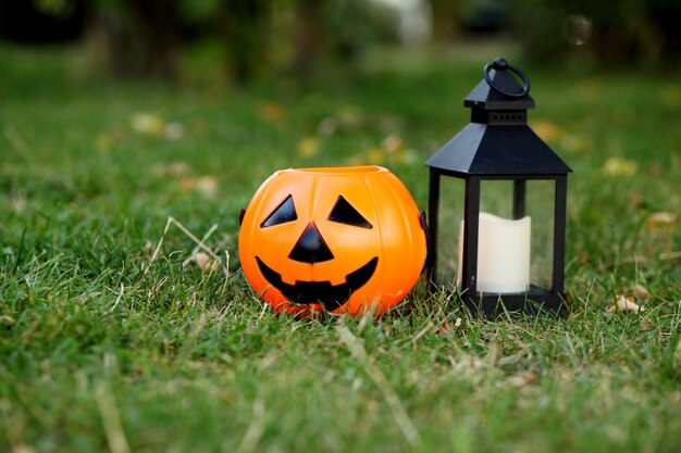 halloween pumpkin in the garden