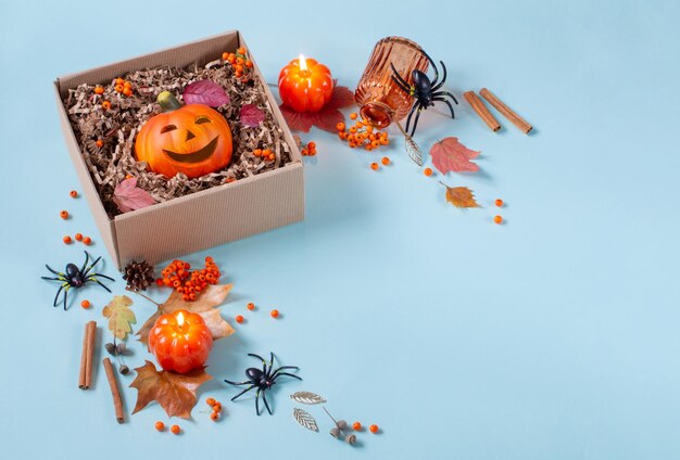 halloween pumpkin in gift box with decor on blue background